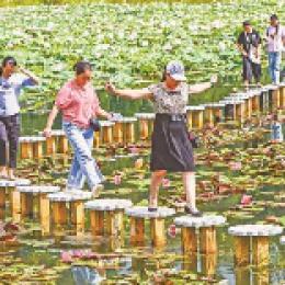 重庆发布夏季乡村休闲旅游精品线路