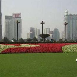 2025年上海公园数量增至1000座以上 新增绿道1000公里以上