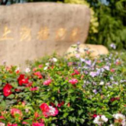 上海植物园2022年1月1日免大门票 温室、盆景园、兰室仍收费